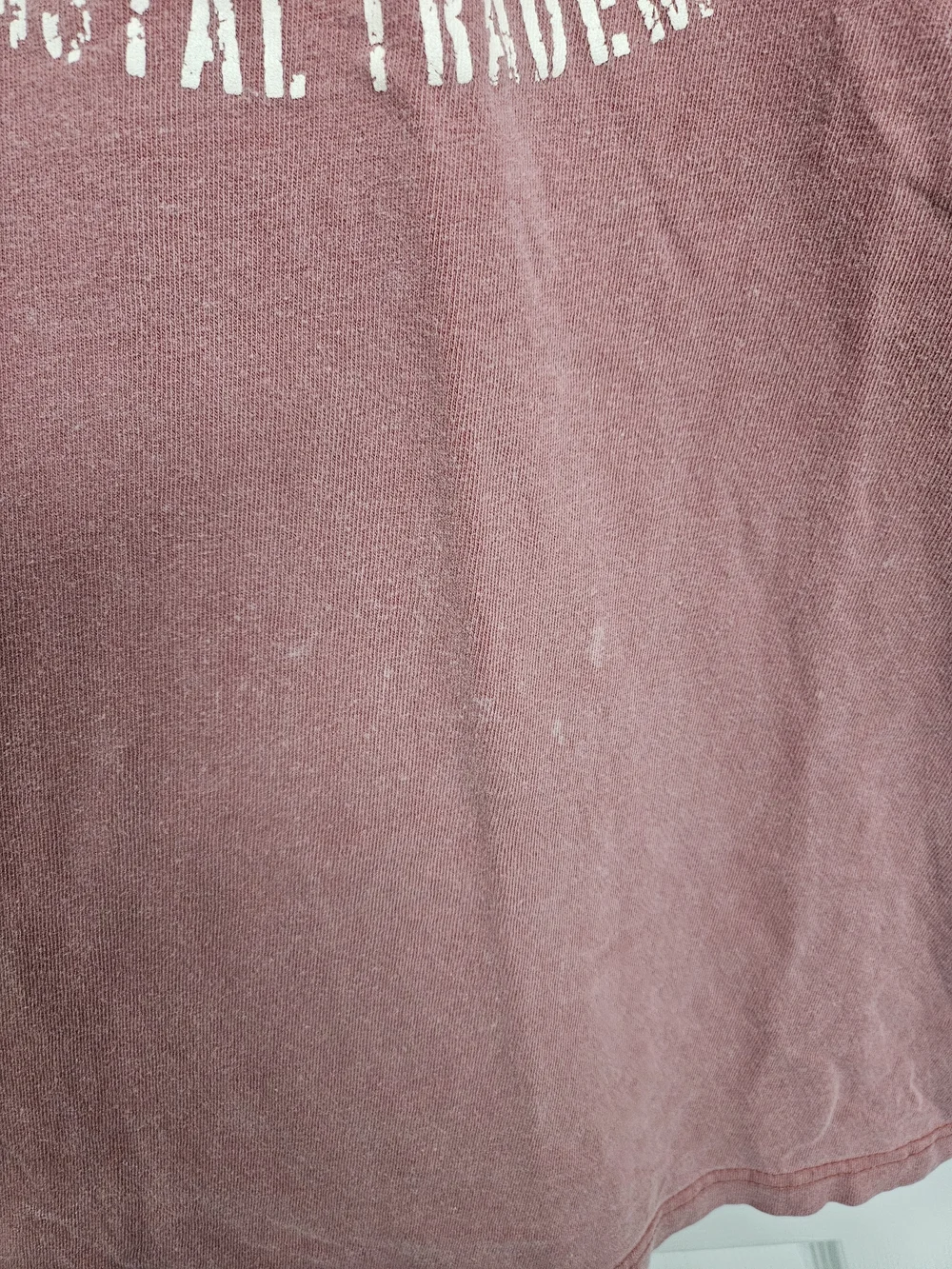 Vintage-Style Cannon Beach Graphic Tee - Dusty Rose Medium Mens Shirt - Picture 3 of 8